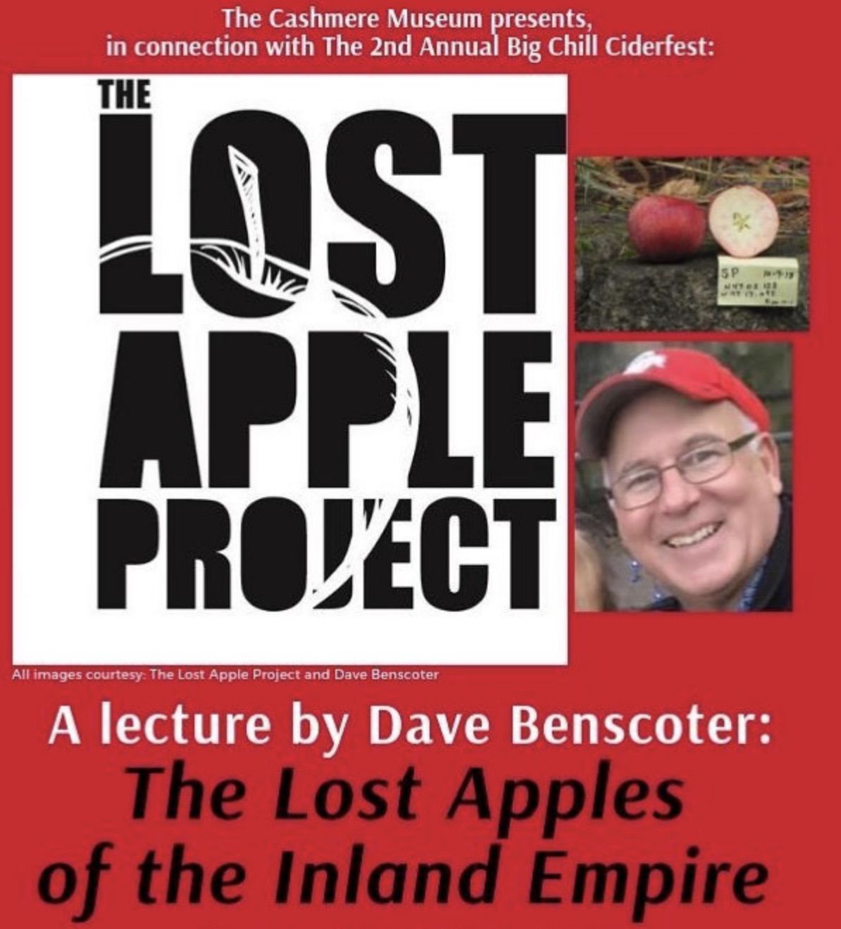 Lost apple project.jpg